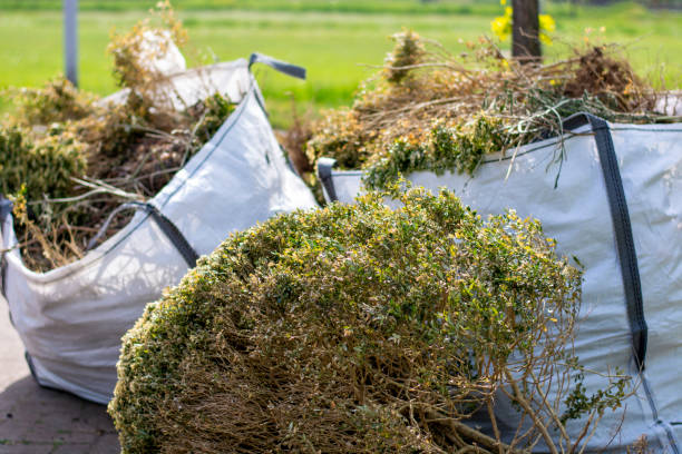 Reliable East Quincy, CA Junk Removal Solutions