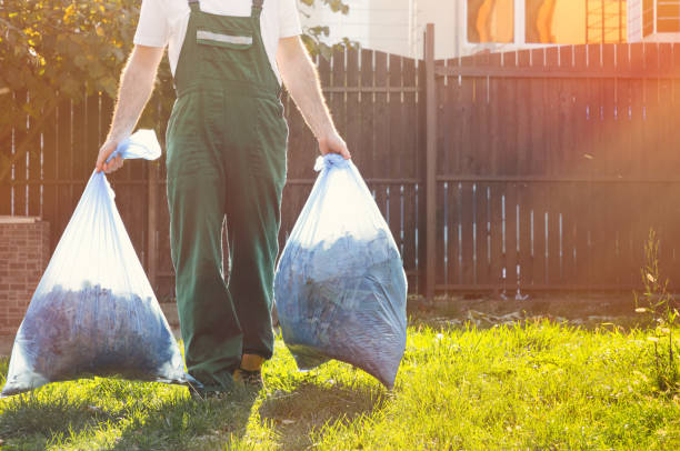 Best Basement Cleanout Services  in East Quincy, CA
